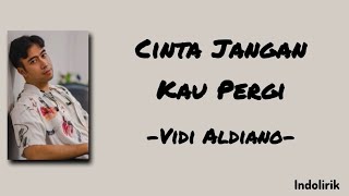 Download lagu Cinta Jangan Kau Pergi - Vidi Aldiano | Lirik Lagu mp3