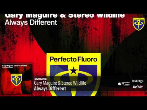 Gary Maguire & Stereo Wildlife - Always Different