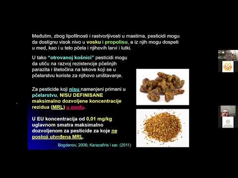 Dr Zoran Stanimirivić  Predavanje Amitraz istine i zablude 02.12.2021.god.