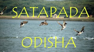 preview picture of video 'Satapada trip on 01/01/2017'