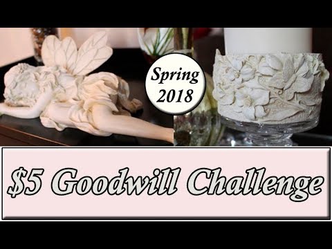 $5 Goodwill Challenge Spring 2018 Video