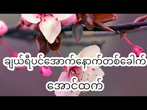 ချယ်ရီပင်အောက် နောက်တစ်ခေါက် ~ အောင်ထက် ( Aung Htet ~ Cherry Pin Out Nout Ta Khout)