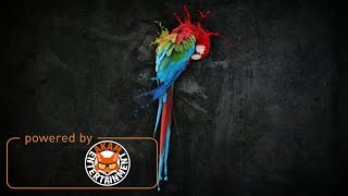 Vershon - Talking Parrot (Mavado & Jahmiel Diss) March 2017