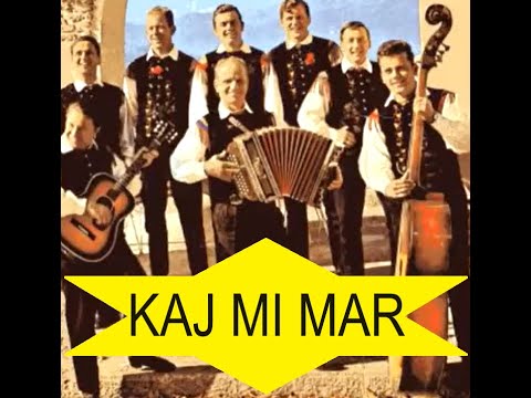 Lojze Slak Kaj mi mar - steirische harmonika Martin Perc