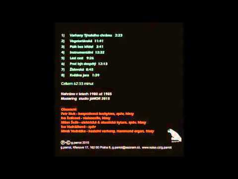 Petr Muk Ptak bez křídel