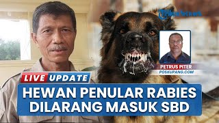 Sumba Barat Daya Masih Bebas Rabies, Pemerintah Perketat Jalur Laut & Udara Cegah Masuknya HPR