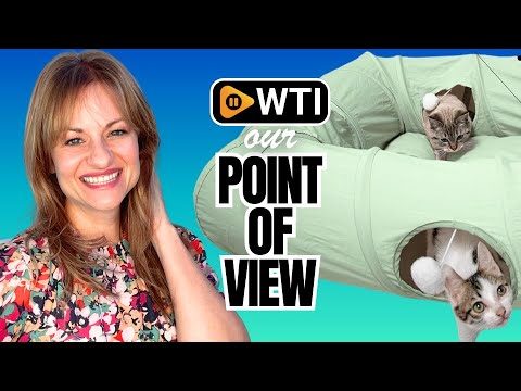 XxingSheep 4 Ways Shuttled XL Cat Tunnel Bed for Indoor Cats Peekaboo Cat Cave Donut with Cool Mat (Green) - WTI product video review