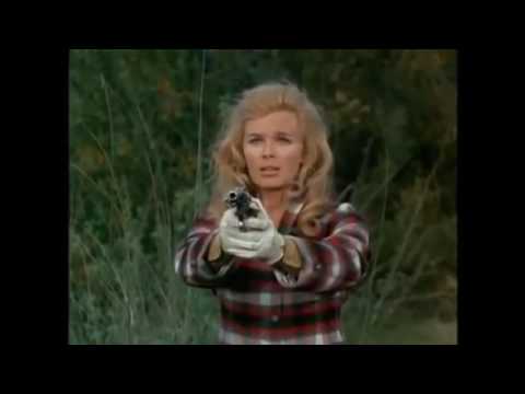 The Big Valley Avengers