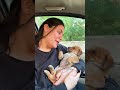 Puppy Love And Care Puppy Puppies Dog Dogs Dogmom Doglover Doglovers Shorts