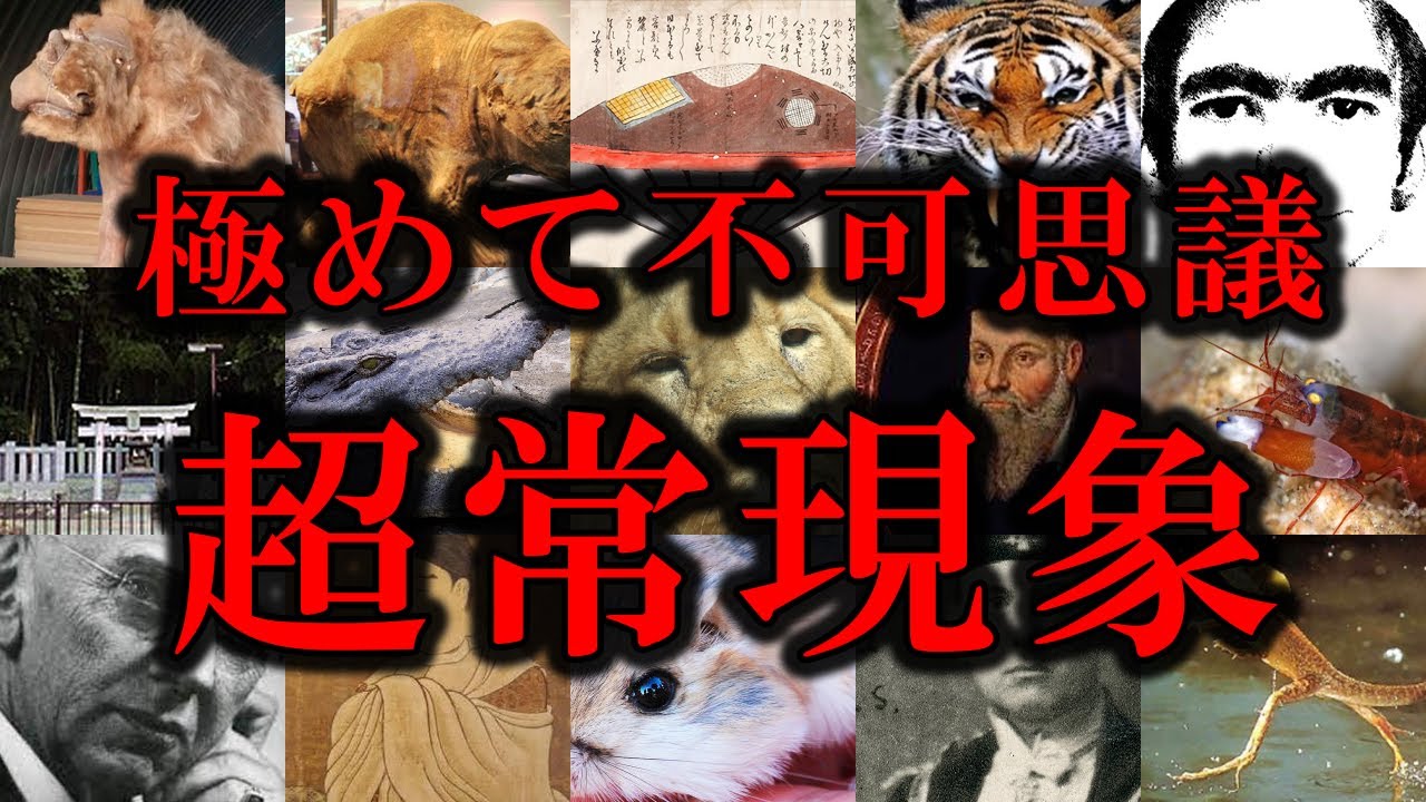 【睡眠用】ガチで眠れなくなる未だ解明できない超常現象！！【傑作まとめ】