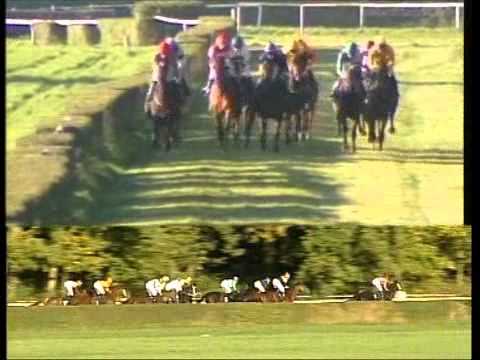 Galopprennbahn Dresden - 15.10.2011 - 7.Rennen