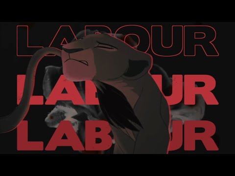 LABOUR ✘ animash