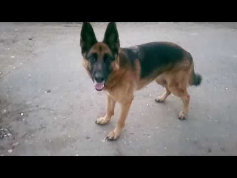 1 Поезка в Тверь. Мини экскурсия по деревенскому дому.