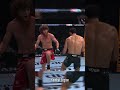 Double Spinning Backfist K O By Shara Magomedov
