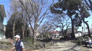 preview picture of video '2015 3/31 桜満開の横浜元町公園　エリスマン邸　SONY ActionCam'