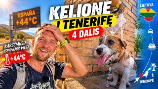 Kelionė į Tenerifę (4 dalis)
