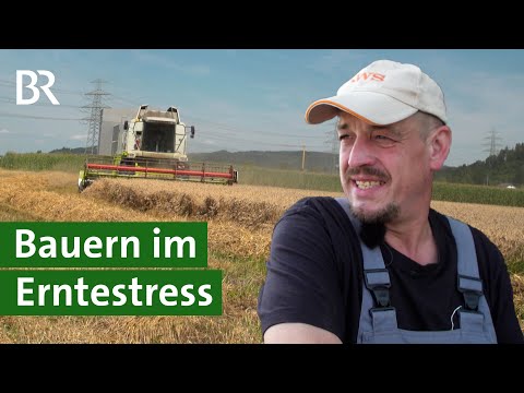 Mähdrescher im Einsatz: Feuchtigkeit messen bei Weizen und Ernte Stress | Unser Land | BR