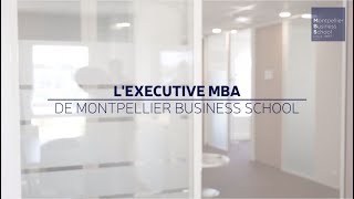 MBS Executive MBA programme presentation