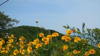 2024.05.26 須磨浦公園ロープウェイ・カーレーター・観光リフト一気乗り