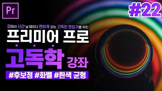 [프리미어 프로 독학 강좌] #22 후보정 - 기본교정 l 흰색균형, 화이트밸런스, WhiteBalance l CC2020 l 한글/영어버전 l
