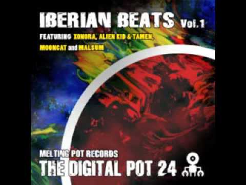 DIGIPOT24 C - Iberian Beats - Mooncat - Autumn Dub