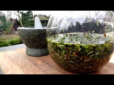 Kordiał Nalewka Ziołowa Zdrowotna -KuchniaKwasiora