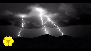 Loud Heavy Rainstorm Thunderstorm - White Noise for Sleep Study Relax Meditate - No Music