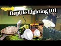 ULTIMATE Turtle Tortoise Light And Heating Guide