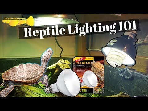 YouTube video about: What watt uvb bulb for tortoise?