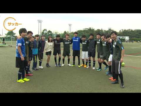 同志社大学スポーツフェスティバル