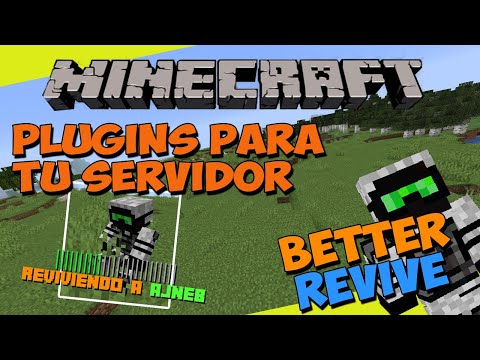 PLUGINS for your Minecraft SERVER - BETTERREVIVE (Revive Players!)