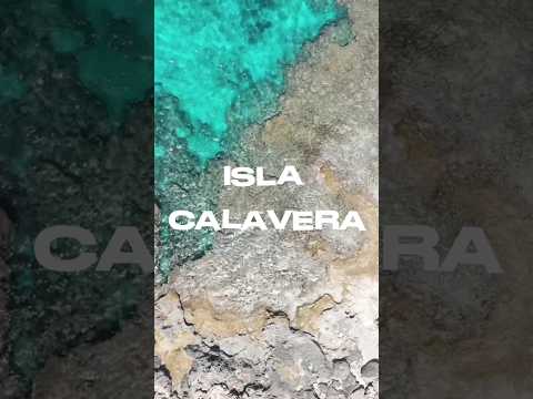 Analog Sol, Eddie Le Funk - Isla Calavera #techno #housemusic