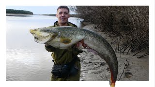 Ссылка