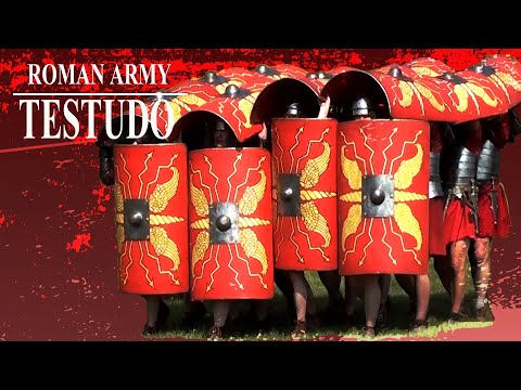 Testudo - Roman Army Tactics in Action - Roman army display by The Ermine Street Guard