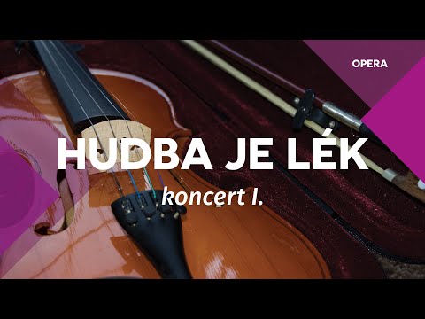 Hudba je lék – Divadlo J. K. Tyla uvádí cyklus komorních koncertů z jeviště Velkého divadla