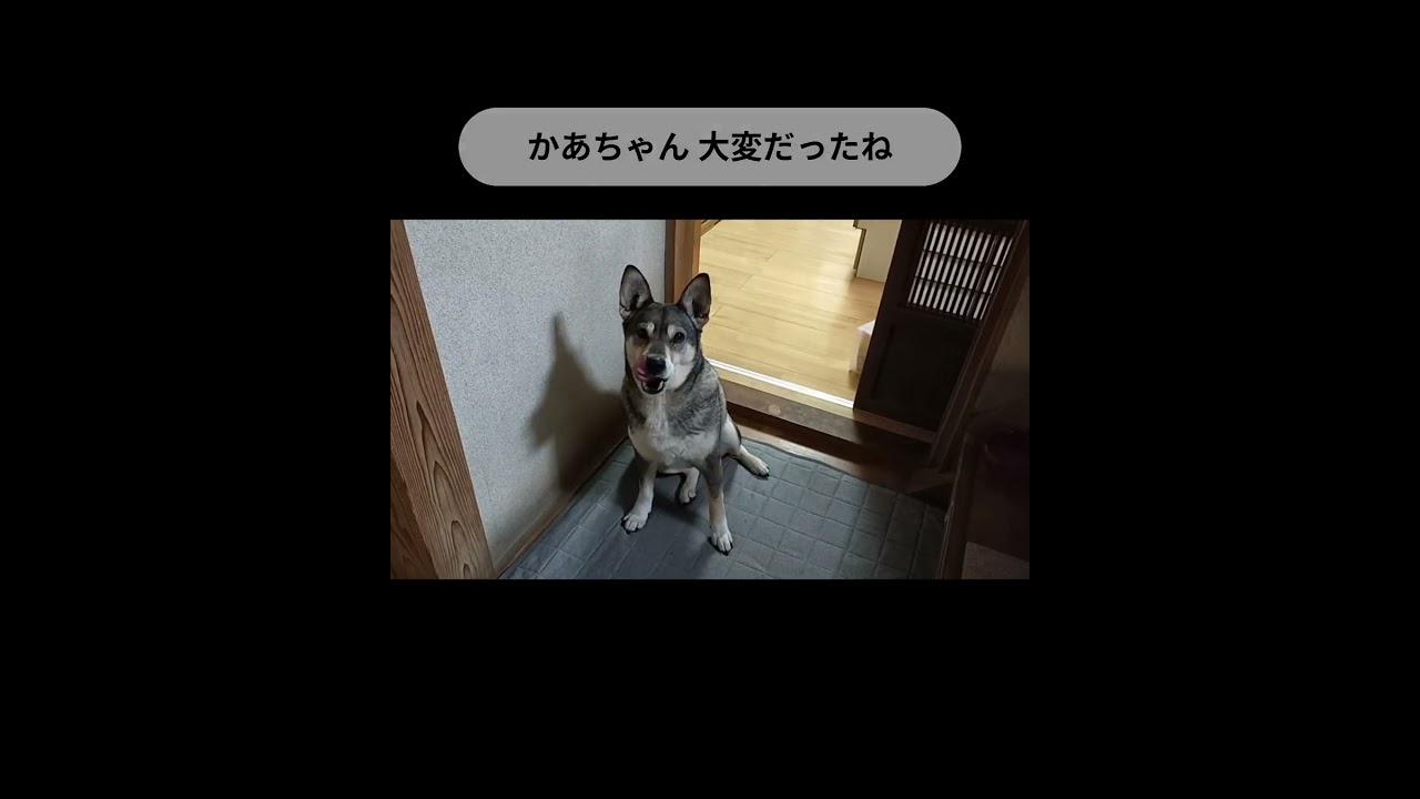 ねずみは もういませんよ