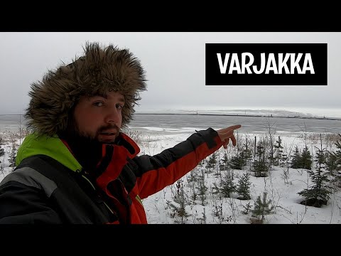 OULUNSALON VARJAKKA - OULUN KALAPAIKAT