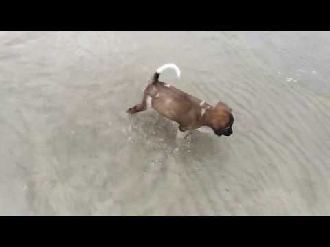 Minka's first beach time