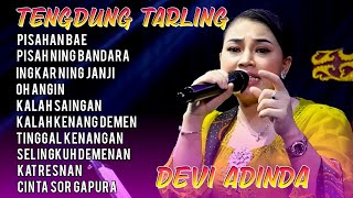 Download lagu FAREWELL BAE | TENGDUNG TARLING | DEVI ADINDA | LATEST FULL ALBUM mp3