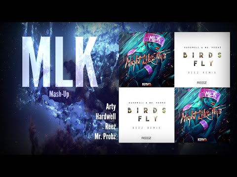 Arty Vs. Hardwell & Reez ft. Mr. Probz - Night Like This Birds Fly (MLK Mash-Up)
