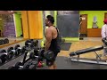 Dumbbell Shrugs / Traps workout