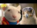 Stuart Meets The Falcon Stuart Little 2 Michael J Fox James Woods