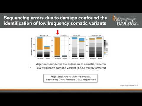 How library preparation affects sequencing accuracy