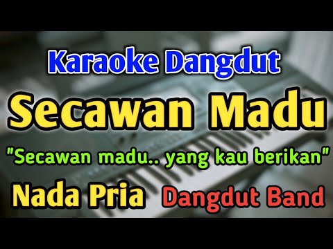SECAWAN MADU - KARAOKE || NADA PRIA COWOK || Dangdut Band || Kristina || Live Keyboard