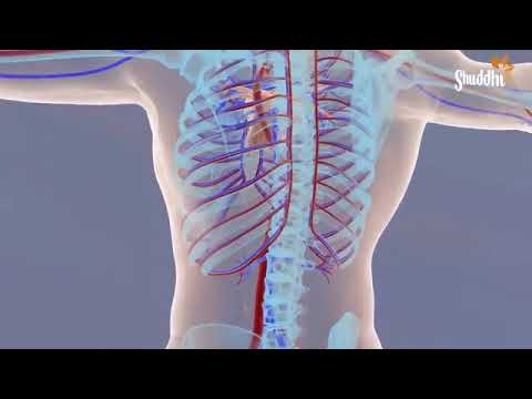 Dil Awaiz 2nd Last Episode 40 - Kinza Hashmi - Affan Waheed [Eng Sub] 9th June 2022 - HAR PAL GEO