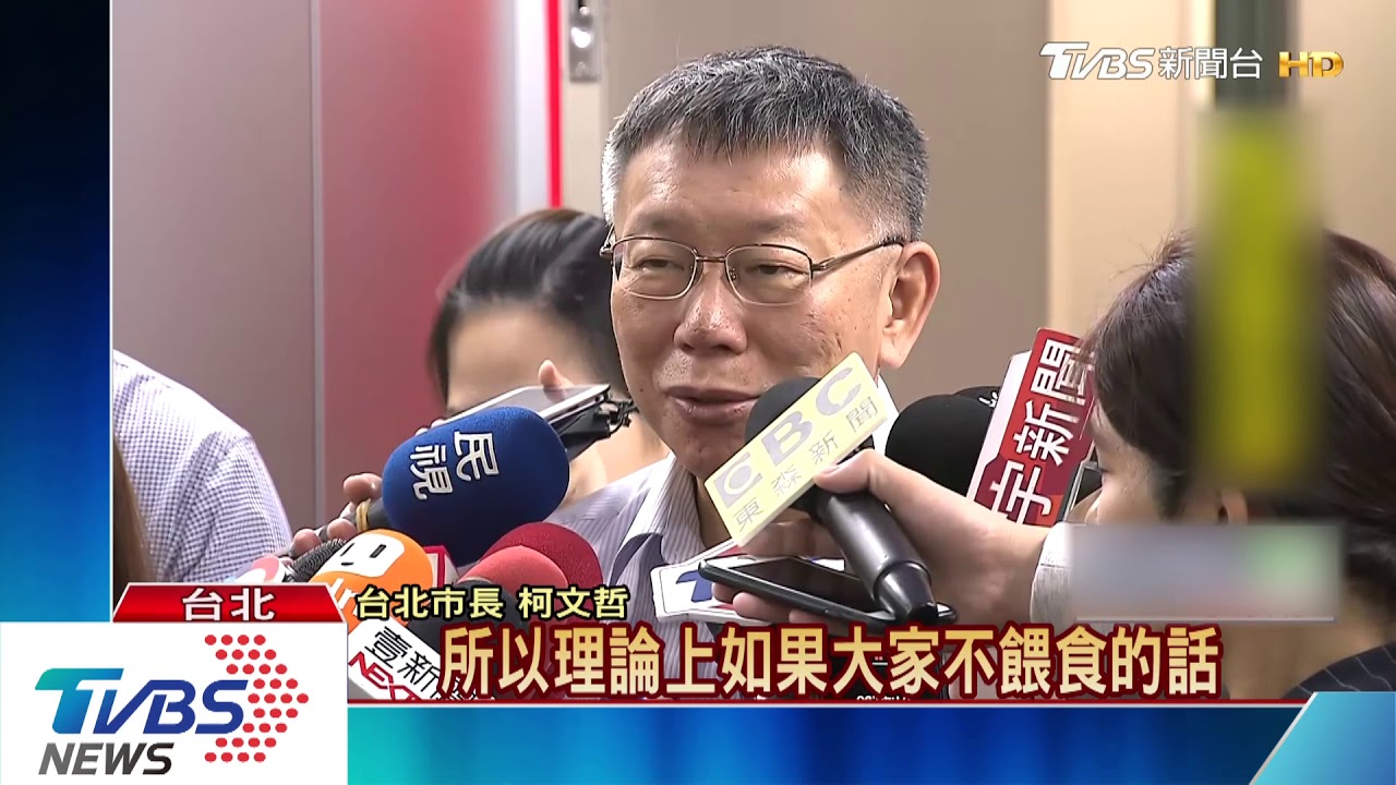 榮星花園鴿多髒亂 柯開玩笑:抓來吃一吃
