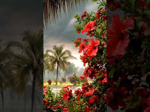 Beautiful natural flowers 🌼🌹🌼🌹#nature #bollywood ❤️🌿❤️🌿❤️