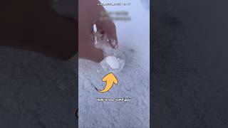 لا تتذوق الجليد أبدا! ❄️