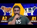 A1 vs A2 Milk 🥛- The Real Difference & Why A2 milk is Better ??