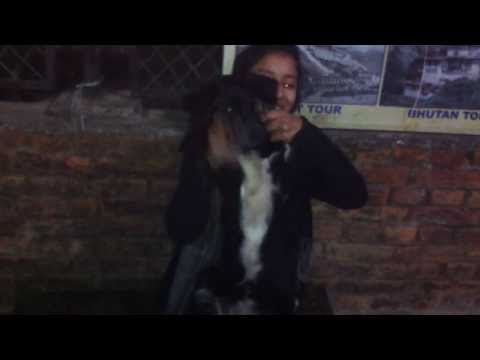 Balma by Blackey and Anuja